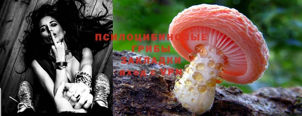 MESCALINE Богородицк