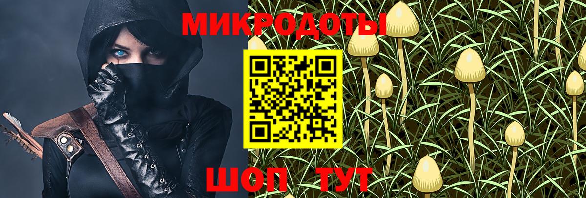 Псилоцибиновые грибы Psilocybe Верхняя Салда