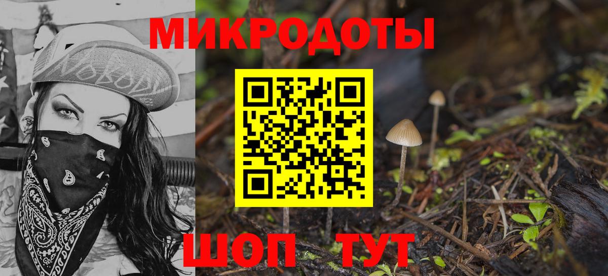 закладка  Вход с VPN  Верхняя Салда  Галлюциногенные грибы Psilocybe 