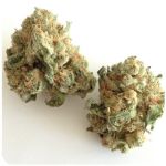 Шишки "White Widow"  (Белая вдова)  Гидропоника -  Бошка VHQ в Верхней Салде